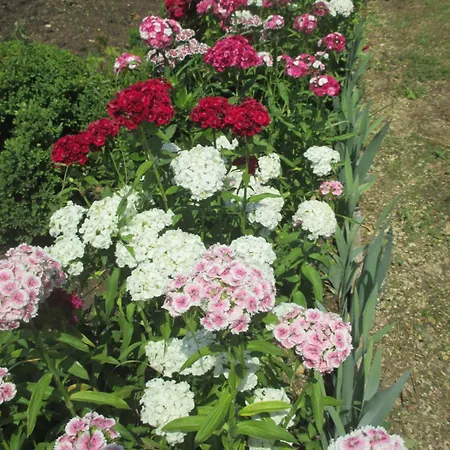 Chateau Des Monthairons Restaurant Gastromaison Privatif Hotel Les Monthairons