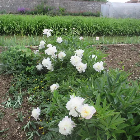 Hotel Chateau Des Monthairons Restaurant Gastromaison Privatif Les Monthairons