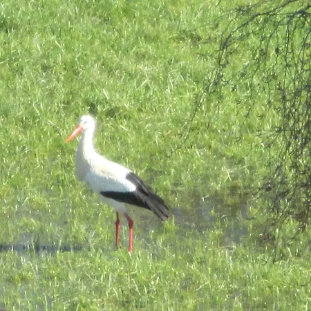 Chateau Des Monthairons Restaurant Gastromaison Privatif Hotel