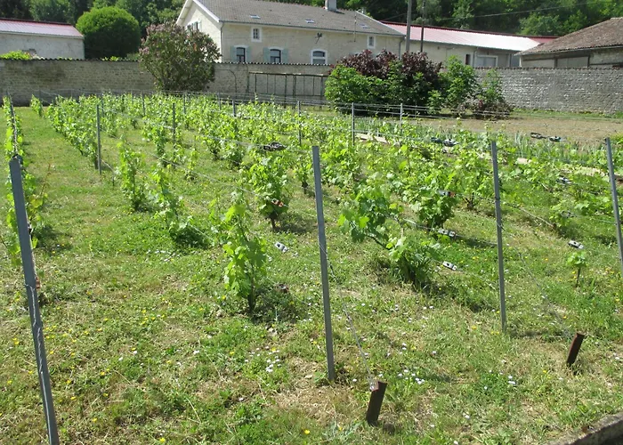 Chateau Des Monthairons Restaurant Gastromaison Privatif