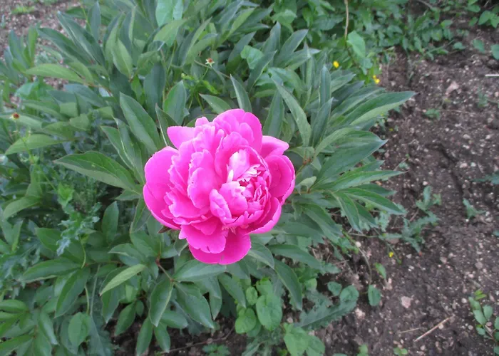 Chateau Des Monthairons Restaurant Gastromaison Privatif Отель Ле-Монтэрон