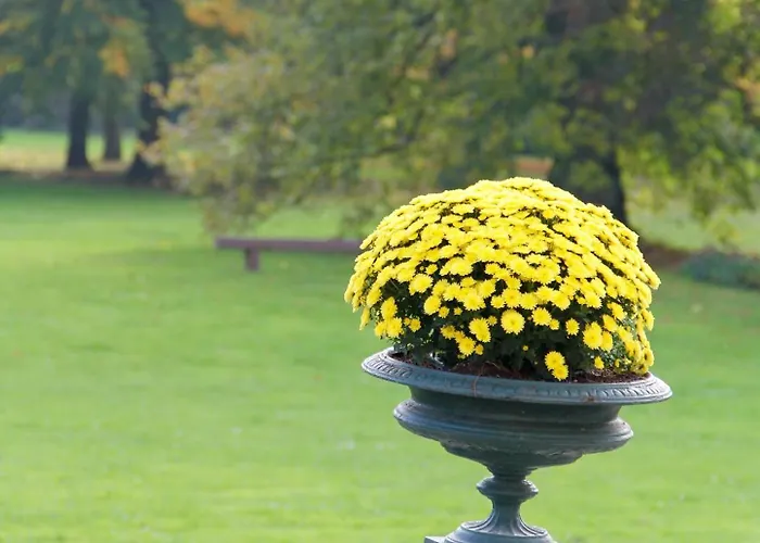 Chateau Des Monthairons Restaurant Gastromaison Privatif Отель