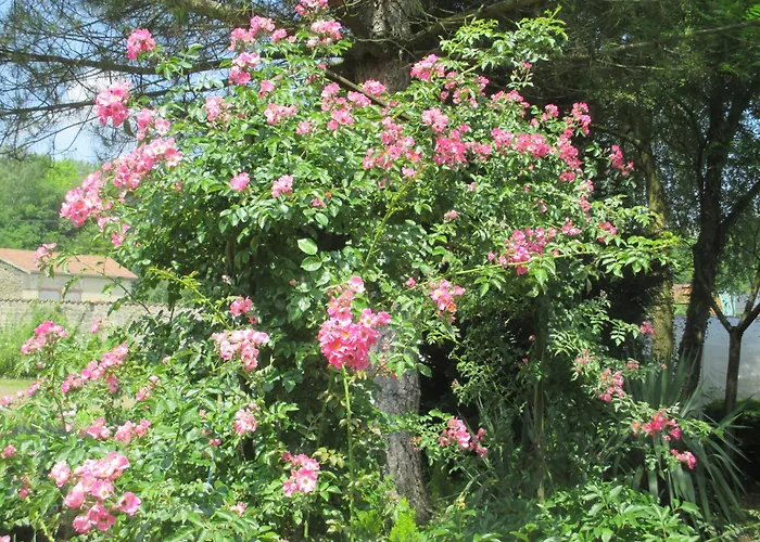 Hotel Château Des Monthairons Restaurant Gastromaison Privatif