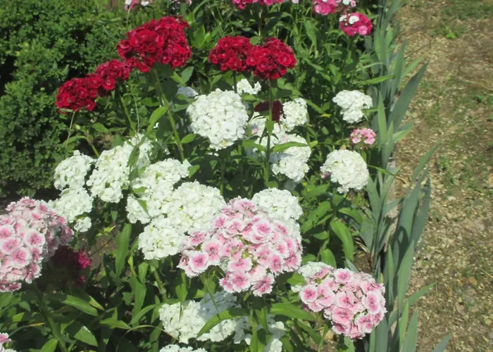 Chateau Des Monthairons Restaurant Gastromaison Privatif Отель Ле-Монтэрон