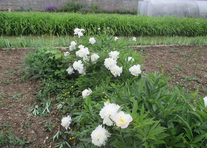 Отель Chateau Des Monthairons Restaurant Gastromaison Privatif Ле-Монтэрон