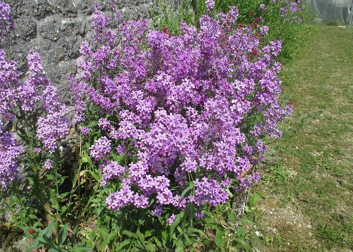 Chateau Des Monthairons Restaurant Gastromaison Privatif 4*